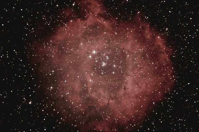 NGC 2237 Rosette Nebula